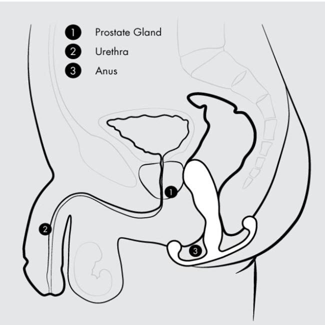 Aneros Helix Syn Trident Prostate Stimulator