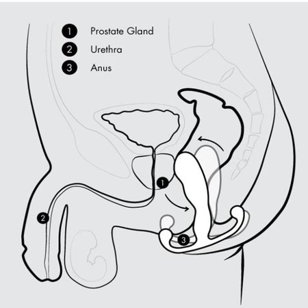 Aneros Progasm Classic Prostate Stimulator