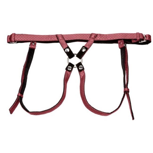 Her Royal Harness Regal Duchess