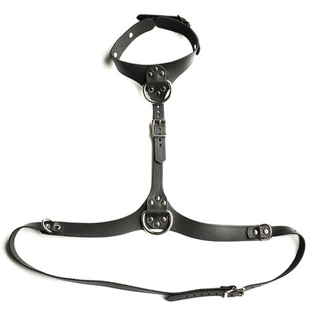 Leather Bust Harness