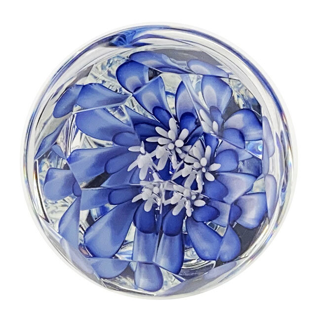 Implosion Twist Glass Dildo