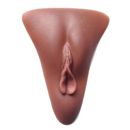 Selene Gaff With Silicone Vulva Insert, Chocolate (Dark Skin Tone)