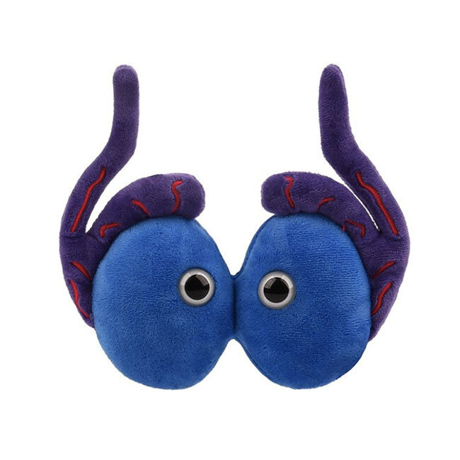 Testicles Plush Toy