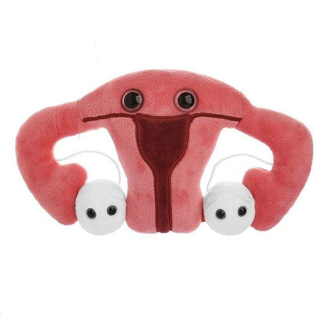 Uterus Plush Toy