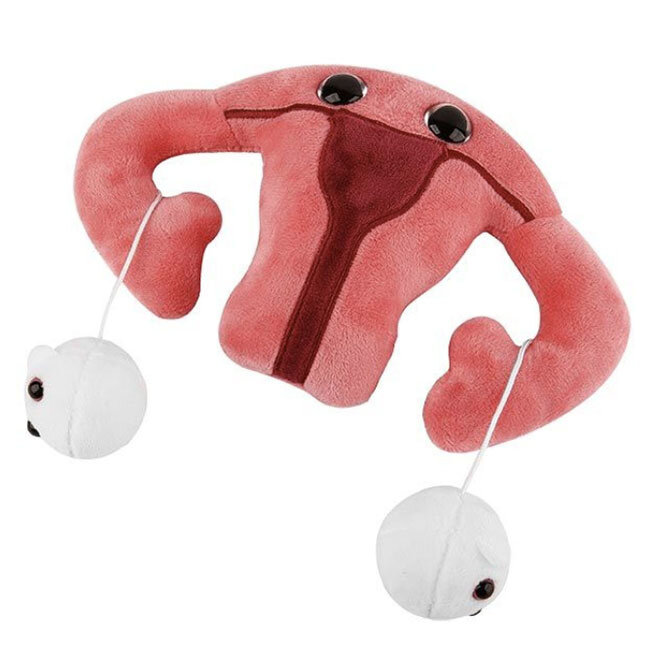 Uterus Plush Toy