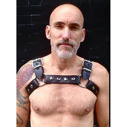 Maverick Chest Harness, Black