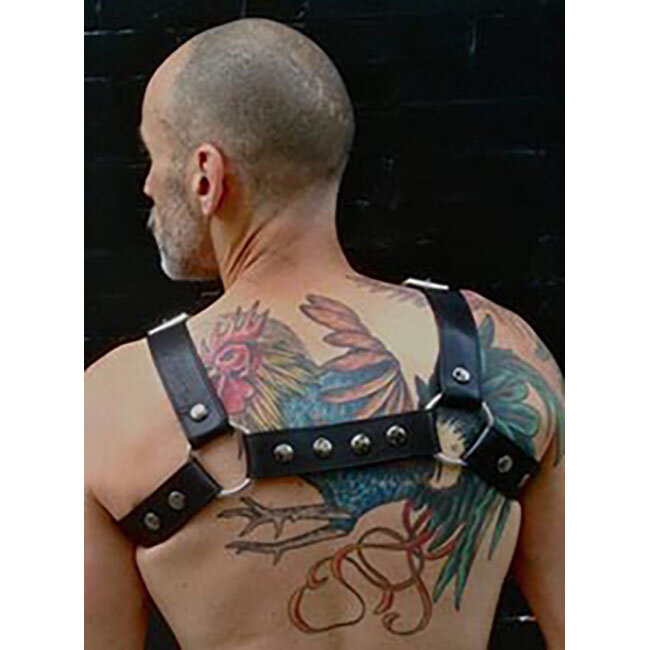 Maverick Chest Harness, Black