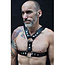 Thor Chest Harness