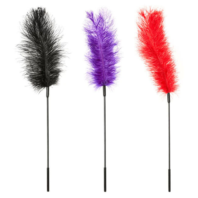 Ostrich Feather Tickler