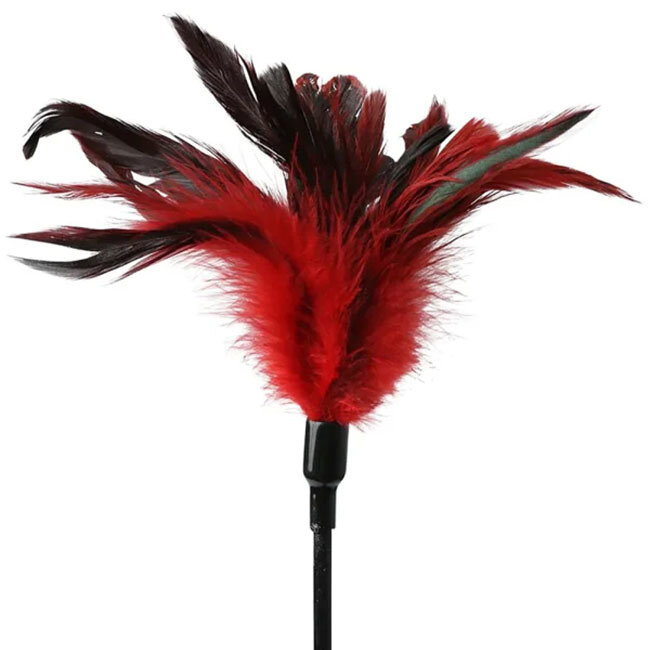 S and M Feather Slapper