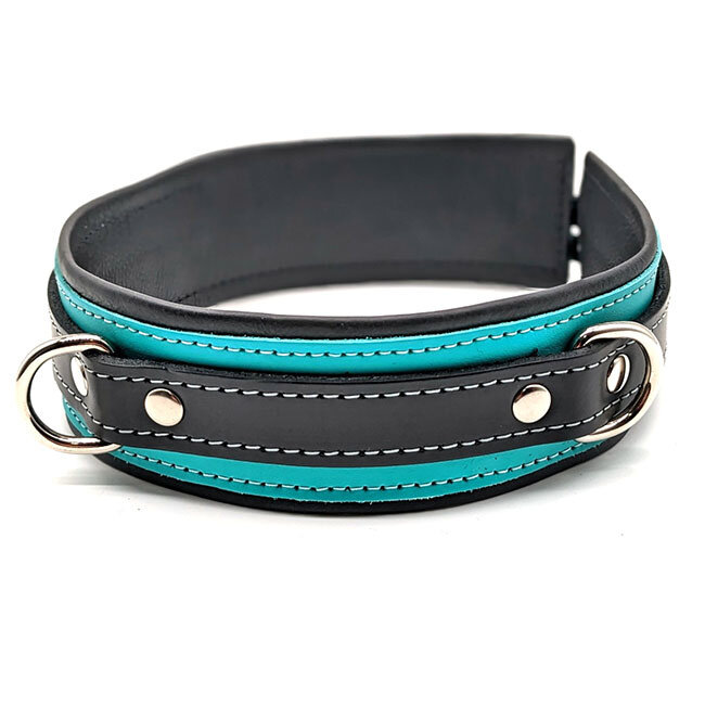 Leather Collar with Locking Buckle, Teal/Black