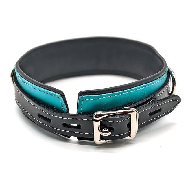 Leather Collar with Locking Buckle, Teal/Black