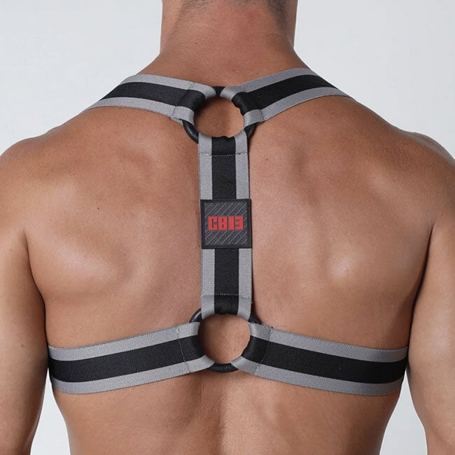 Rascal Harness CBS255, Gray