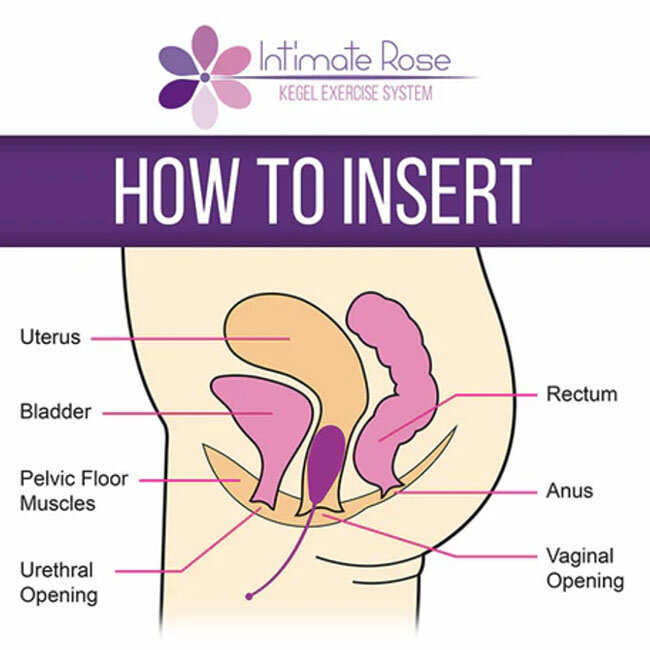 Intimate Rose Kegel Exercise System