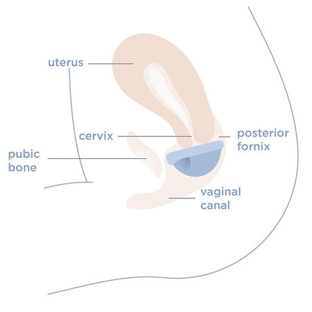 Saalt Menstrual Disc, Regular (blue)