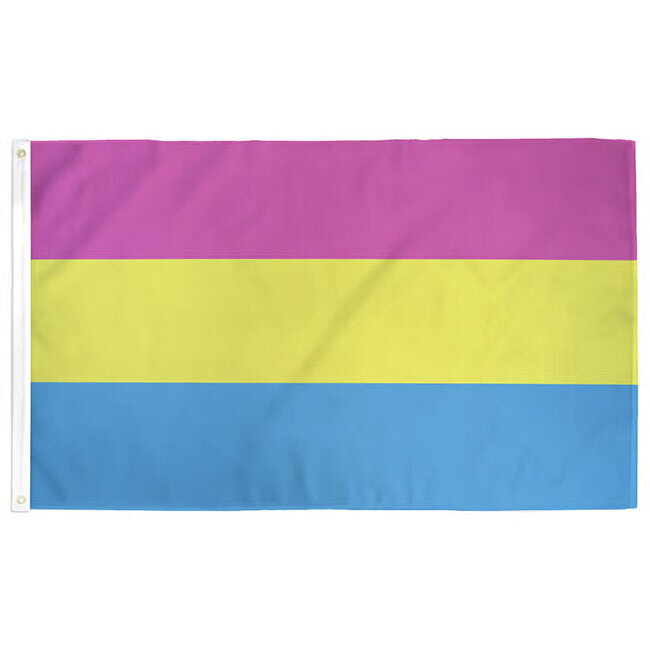 Pansexual Pride Flag 3 feet x 2 feet