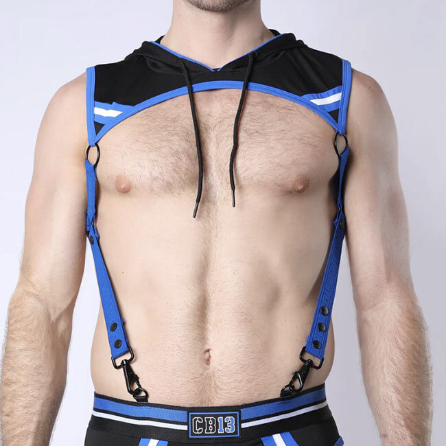 Pup Tron Harness CBS330, Blue