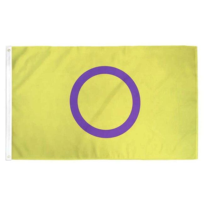 Intersex Pride Flag 3 feet x 2 feet