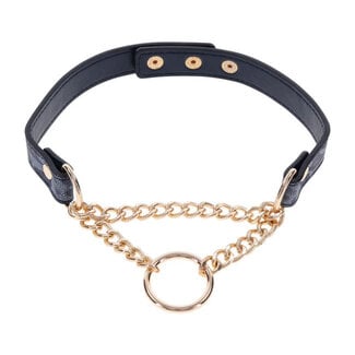 Cougar Day Collar