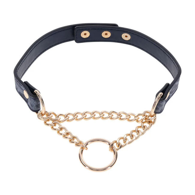 Cougar Day Collar