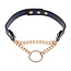 Cougar Day Collar