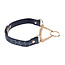 Cougar Day Collar