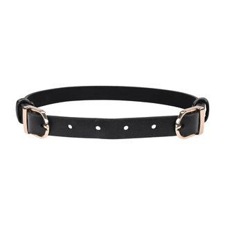Double Buckle Day Collar