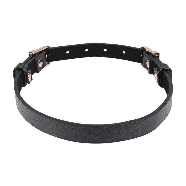 Double Buckle Day Collar