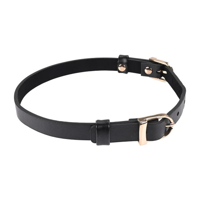 Double Buckle Day Collar