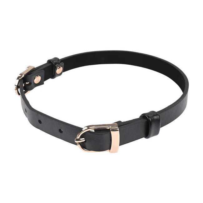 Double Buckle Day Collar