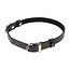 Double Buckle Day Collar