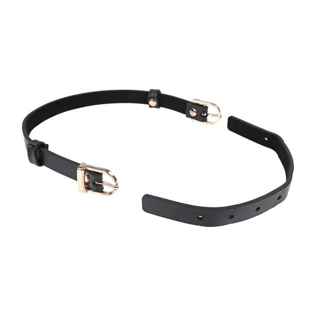 Double Buckle Day Collar