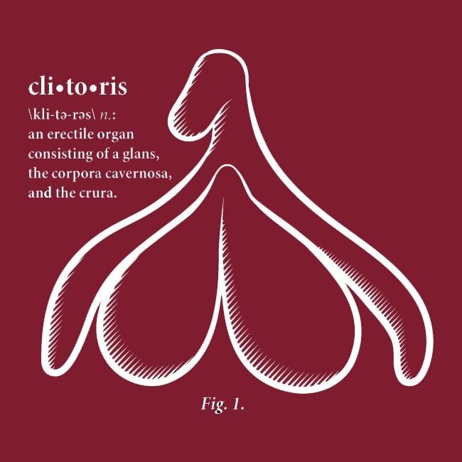 SALE! Clitoris T-shirt, Fitted Hourglass Cut Size 3XL