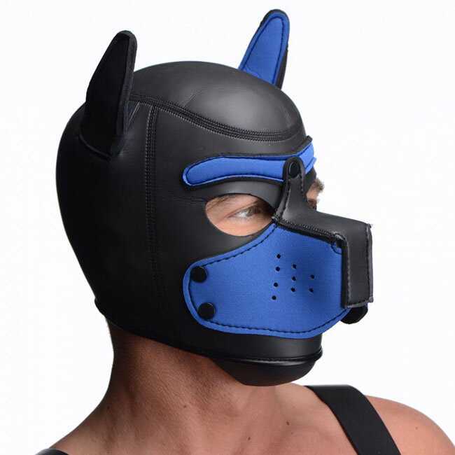 Spike Neoprene Puppy Hood, Black/Blue