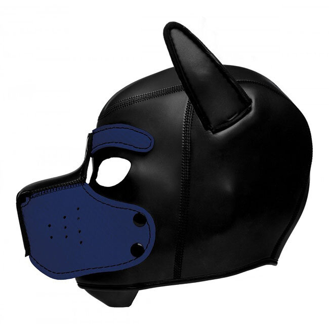 Spike Neoprene Puppy Hood, Black/Blue