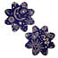 Midnight Celestial Sun and Moon Petal Pasties