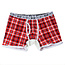 Bear Skn Boxer Brief, Flaming Beartooth