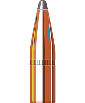 Hornady 308 180 gr sp #3070