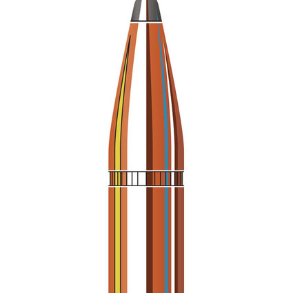 Hornady 308 180 gr sp #3070