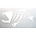 Gloomis GLM BOAT DECAL WHT XL