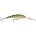 Rapala TDD09 FYP
