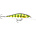 Rapala Shadow Rap Shad 09 Live Perch