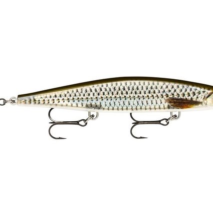 Rapala Shadow Rap Shad 09 Live Roach