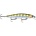 Rapala SDR11 YP