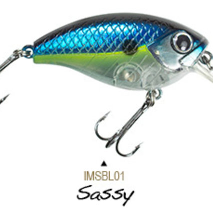 LUNKERHUNT Shock 2.5F IMSBL01 Sassy