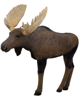 RINEHART 1/3 Scale Woodland Moose