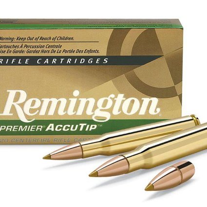 Remington 243 win 95 gr Accutip