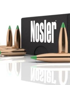 Nosler 30 cal 165 gr ballitic tip 50 ct