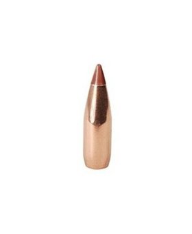 Hornady 20 cal 24 gr NTX  100 ct.