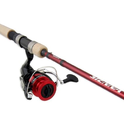 Shimano Sienna 7' M 1P Combo